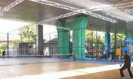 体育圈的天花板,巅峰时刻的辉煌与挑战